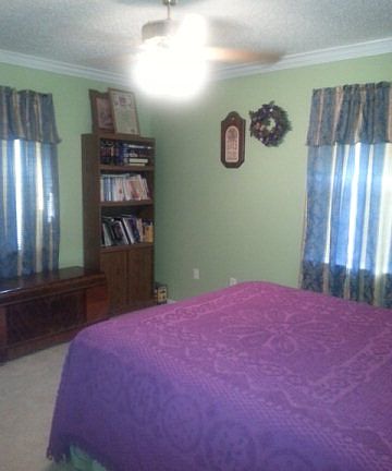 5th image of 28376 County Road 1600