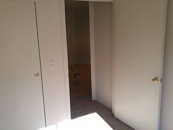 5th image of 29 Larkspur St