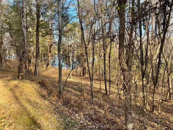 2015 Tahlequah Ln, Mooresburg, TN 37811
