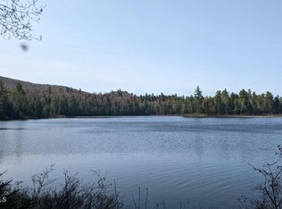 L3-4-6&14 Kushaqua Mud Pond Rd, Vermontville, NY 12989