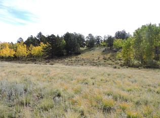 400 Aspen Way Dr, Lake George, CO 80827