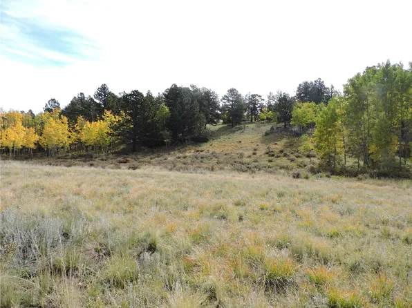 400 Aspen Way Dr, Lake George, CO 80827