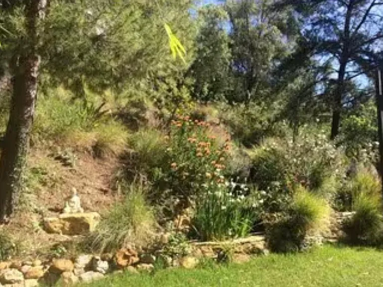 NW side yard of Sanctuary
Waterfall & pond