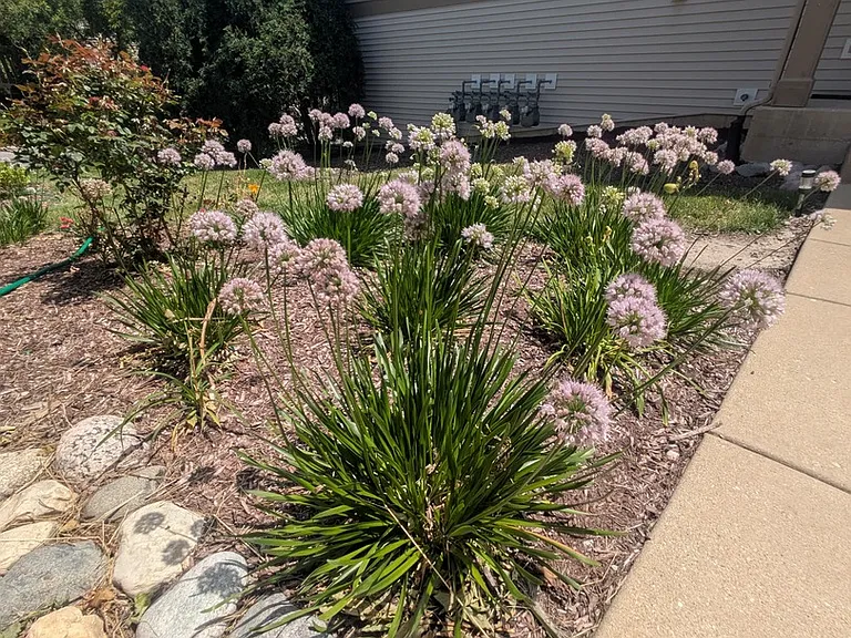 485 Conservatory Ln #485 — Photo 7