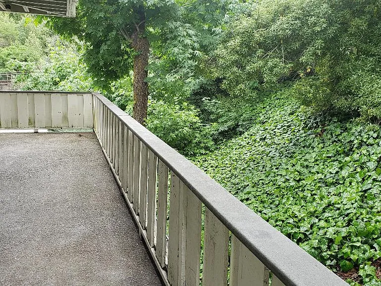 67 Brookwood Rd #1 — Photo 15