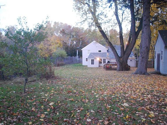 Back yard