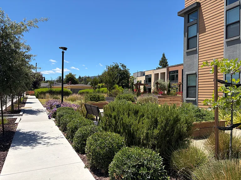 11355 Cottonwood Pl — Photo 35