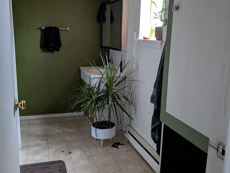 1207 Carolina St — Photo 20