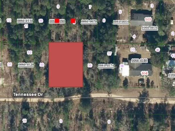 112 & 114 Tennessee St, Hawthorne, FL 32640