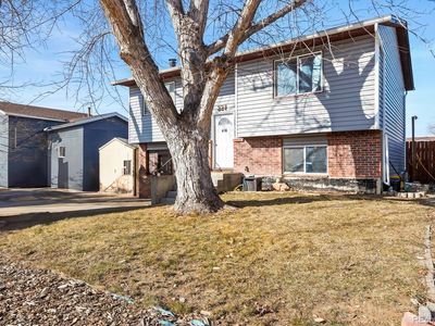 221 Jackson Avenue, Firestone, CO, 80520