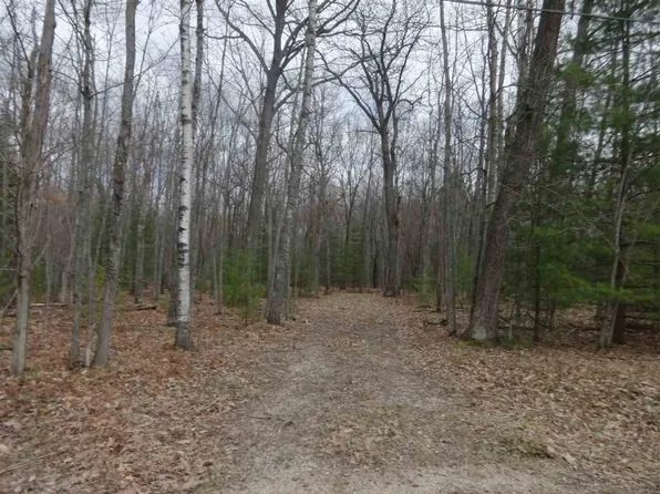 Owens Dr, Houghton Lake, MI 48629