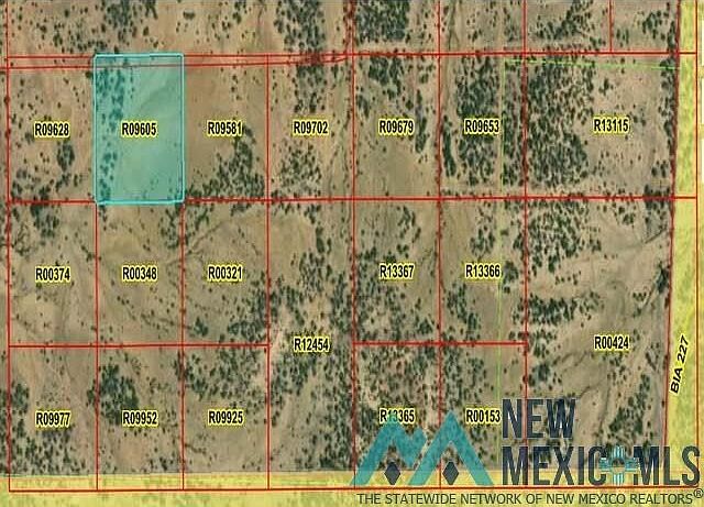 1st image of 40 La Tinaja Trl