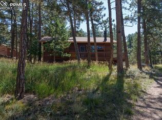 54 Arrowhead Ln, Florissant, CO 80816
