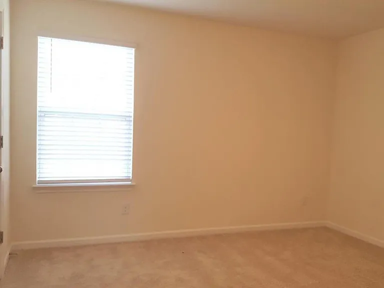 616 Rose Mallow Dr — Photo 11