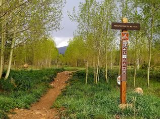 4811 Ryan Gulch Rd #4827, Silverthorne, CO 80498