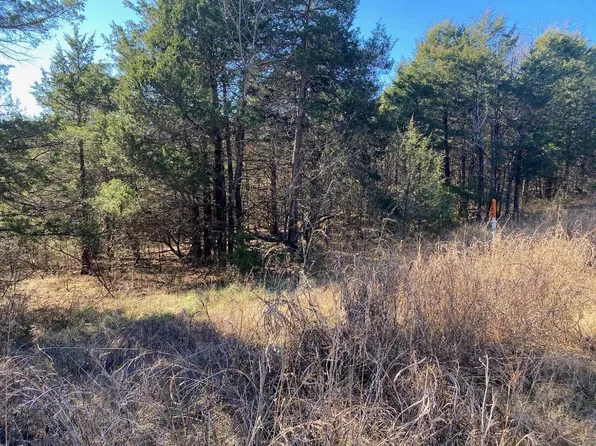 0 E Mockingbird Trl, Lead Hill, AR 72644