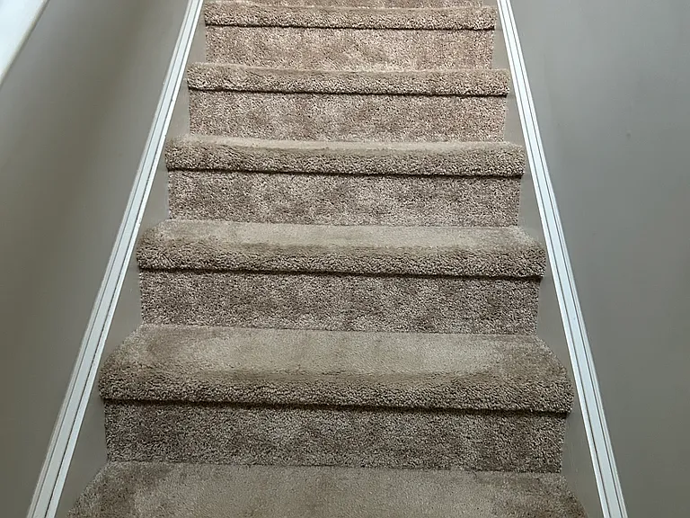 529 Finnegan Ln — Photo 6