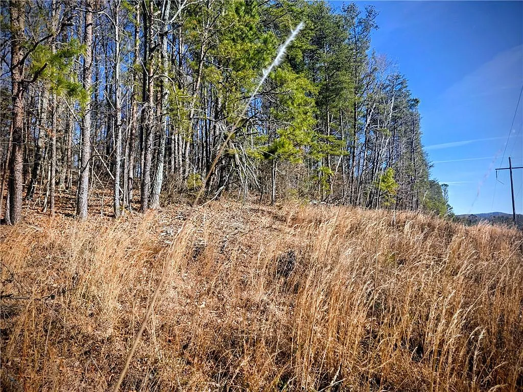 Cowart Mountain Tract Road 3 photo 1