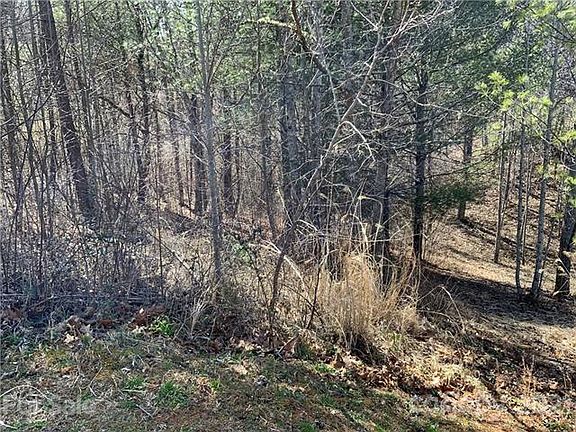 2nd image of 235 Macduff Ln #16