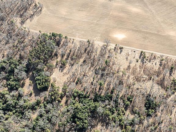 4th image of 95+/- AC Riverview Dr Acres