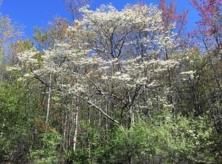 0 Dunn Rd, Catlin, NY 14812