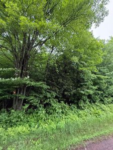 Tobias Rd, Antigo, WI, 54409