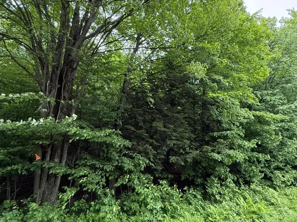 Tobias Rd, Antigo, WI 54409