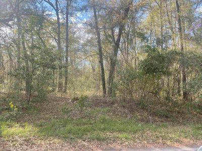 TBD Senior Rd., Kingstree, SC, 29556