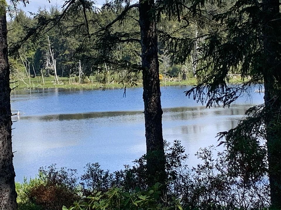 4161 NW Hidden Lake Loop, Waldport, OR 97394 Zillow