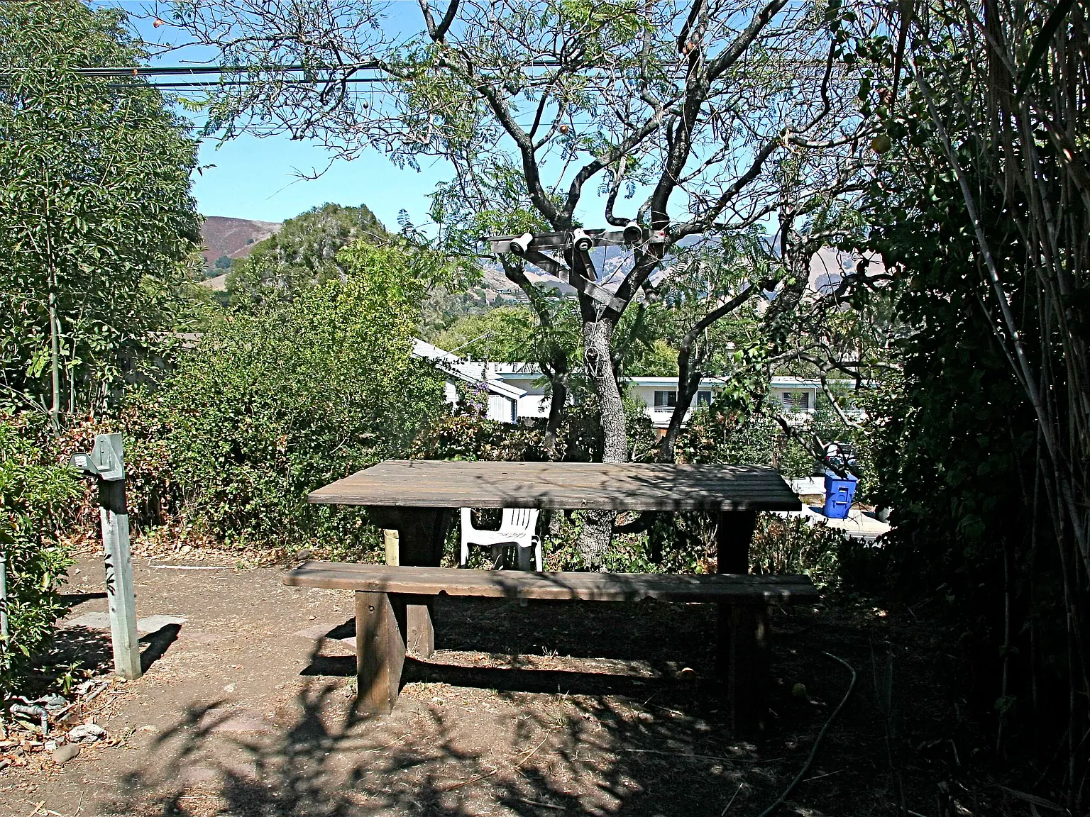 2 bed, 800 sqft, $3,600 — Photo 2