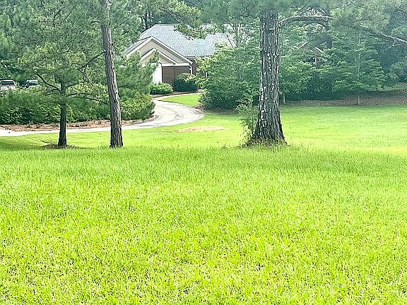 Pic taken at end of driveway