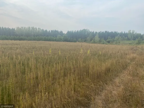 NE Cass Line Rd, Menahga, MN 56464