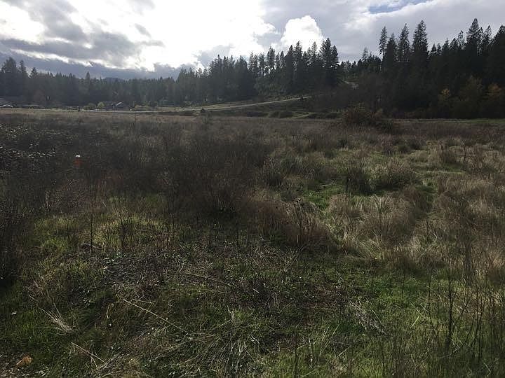 2nd image of 5786 Riverbanks Rd