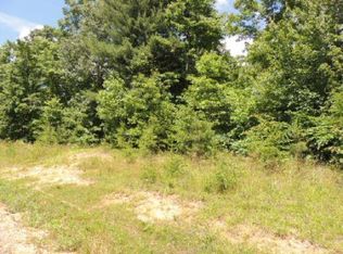 Parkstown Rd, Wilder, TN 38589