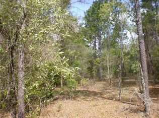1716 E Bismark St, Hernando, FL 34442