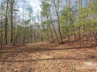 99999 Trillium Ln #7, Lake Lure, NC 28746