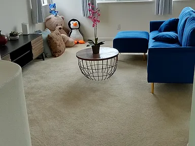 11 Nancy Ln Rental - 11 Nancy Ln Daly City CA | Zillow