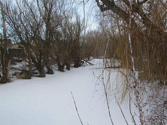 MORE OF PARK
