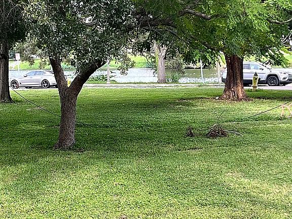 Green space and lake 