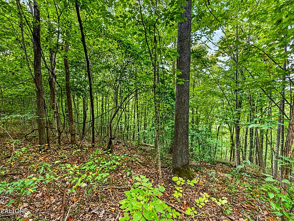 2nd image of 29 Timber Ridge Ln