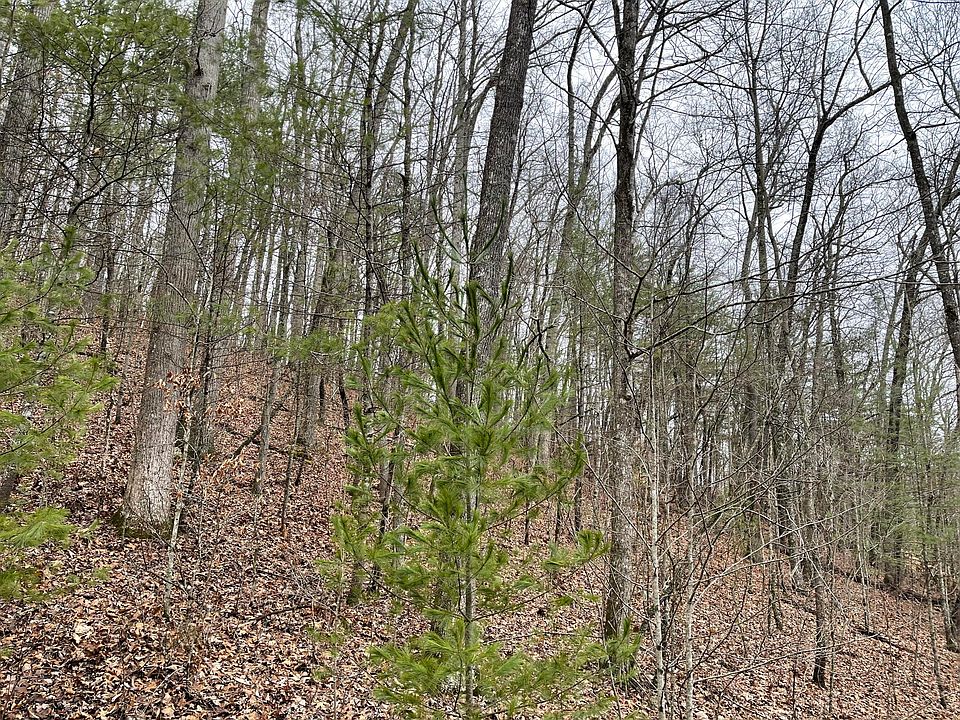 1st image of Hiddenwood Dr