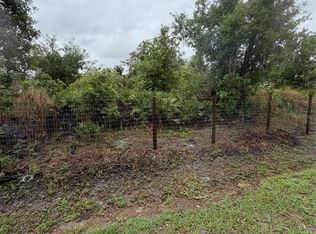 Sink Hole Rd LOT 33, Bartow, FL 33830