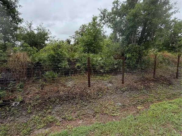 Sink Hole Rd Lot 33, Bartow, FL 33830