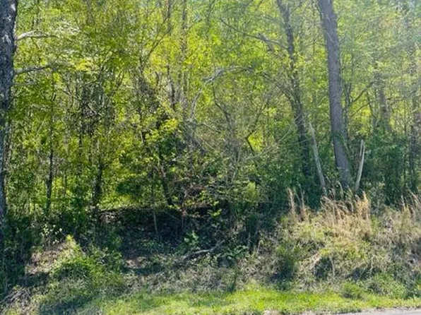 Ivanhoe Rd, Clinton, TN 37716