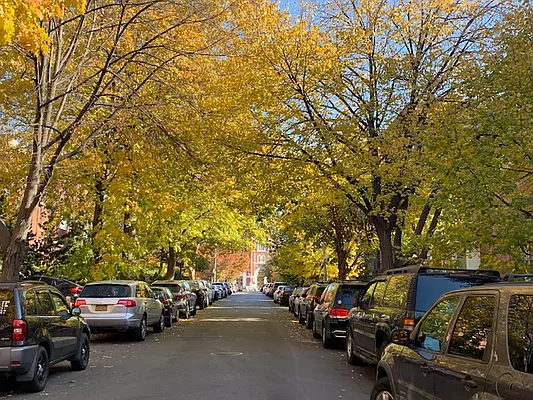 Rented by Terra Magia Inc | media 59