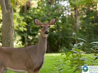 169 Yellow Run Rd, Jim Thorpe, PA 18229