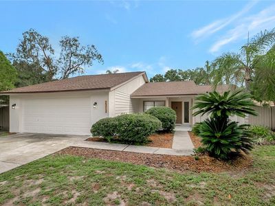 2312 Southern Lites Ave, Lutz, FL, 33549