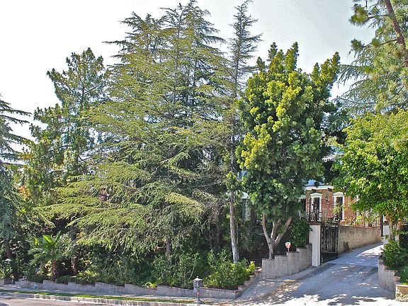 2nd image of 7975 Oceanus Dr