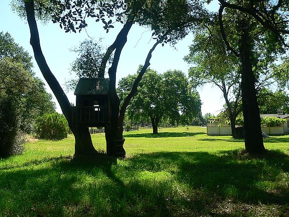 Side Yard