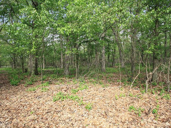3rd image of 3129 N Farm Road 71